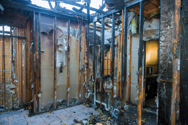 Professional Fire Damage Repair technician working in Elkridge, MD